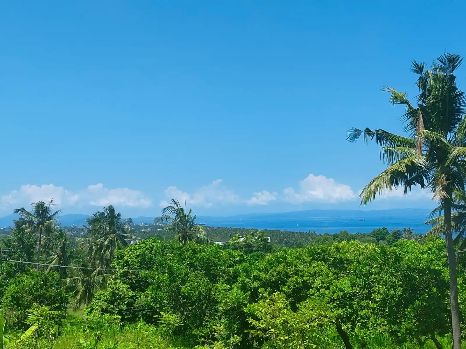 Malase Hill; Land For Sale